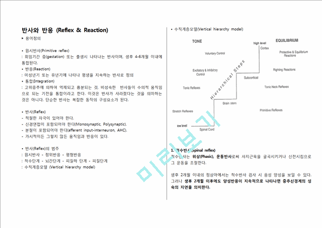 [의학] 반사와 반응[Reflex & Reaction] 정리 자료.hwp